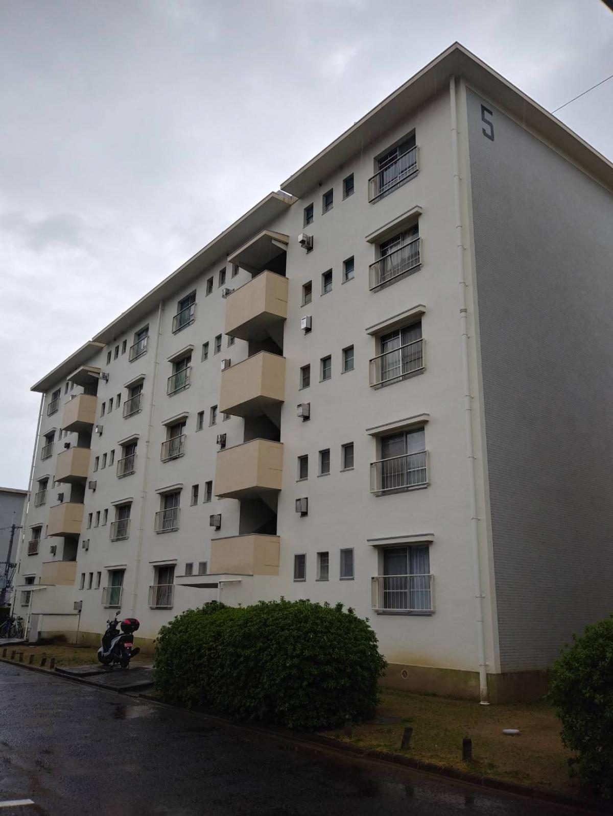 3月ご成約